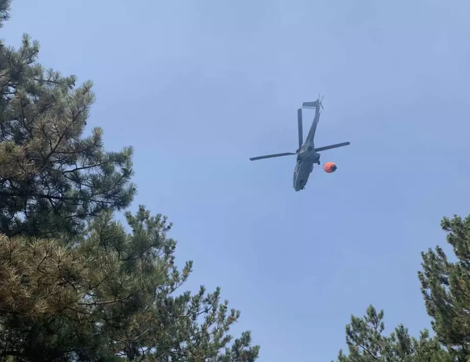 Голям горски пожар гасят край Югово в Родопите, военният "Кугар" помага 