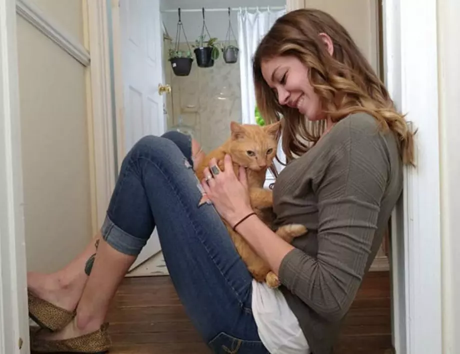 Семейство откри котката си след 536 дни в неизвестност