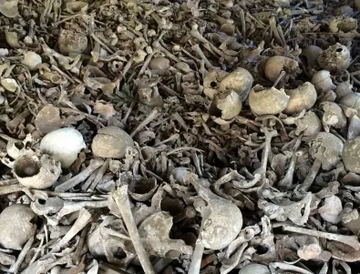 Пещерата на костите: Хилядолетия наред хиени са мъкнeли жертвите си в нея