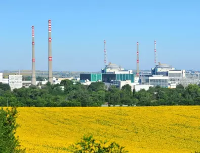 Проверяват корпусите на ядрени реактори в АЕЦ срещу 4 млн. лева