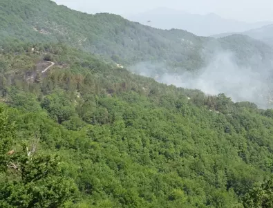 Пожарът край Голешево е спрян, македонският забави темпо 