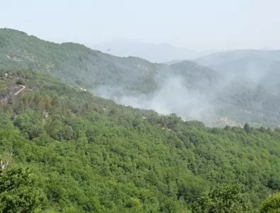 Как да предпазим горите от пожари през лятото и как да се пазим от горски пожари