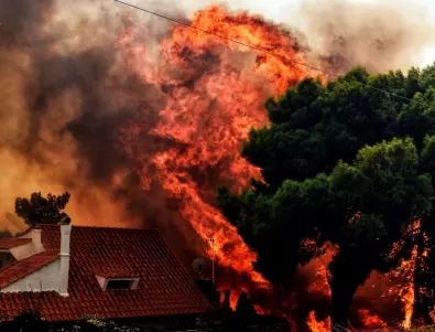 Пожарите в Гърция - най-тежко е в Пелопонес 