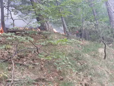 Ограничение в движението по пътя София - Калотина заради пожар