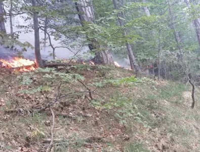 Бришимов: Пожарът над Югово и Нар. бани е много високо в планината
