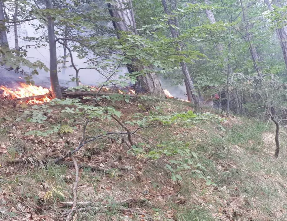 Бришимов: Пожарът над Югово и Нар. бани е много високо в планината