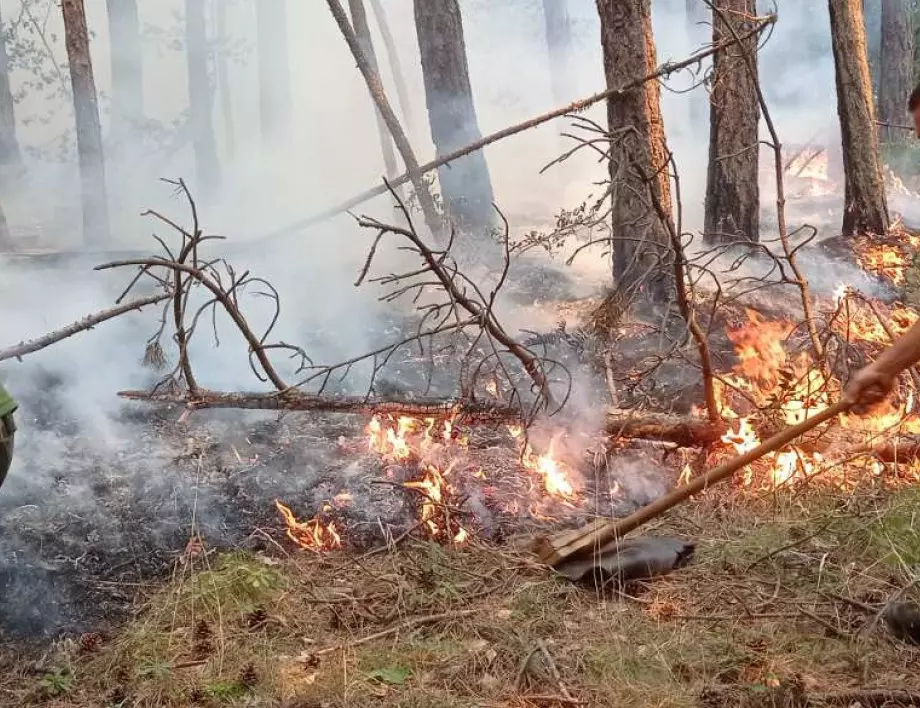 Отново пожар в Национален парк "Пирин" над Банско