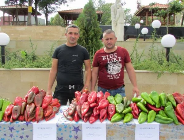 Фестивалът на чушката в Кирково прераства в празник на плодородието