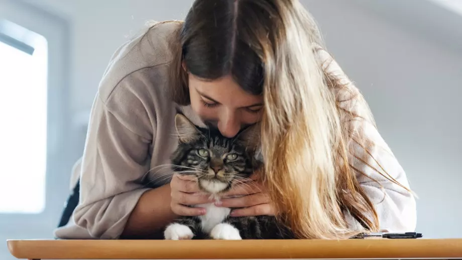 Да имате котка в дома си, е страшно полезно за вашето здраве! Вижте как.