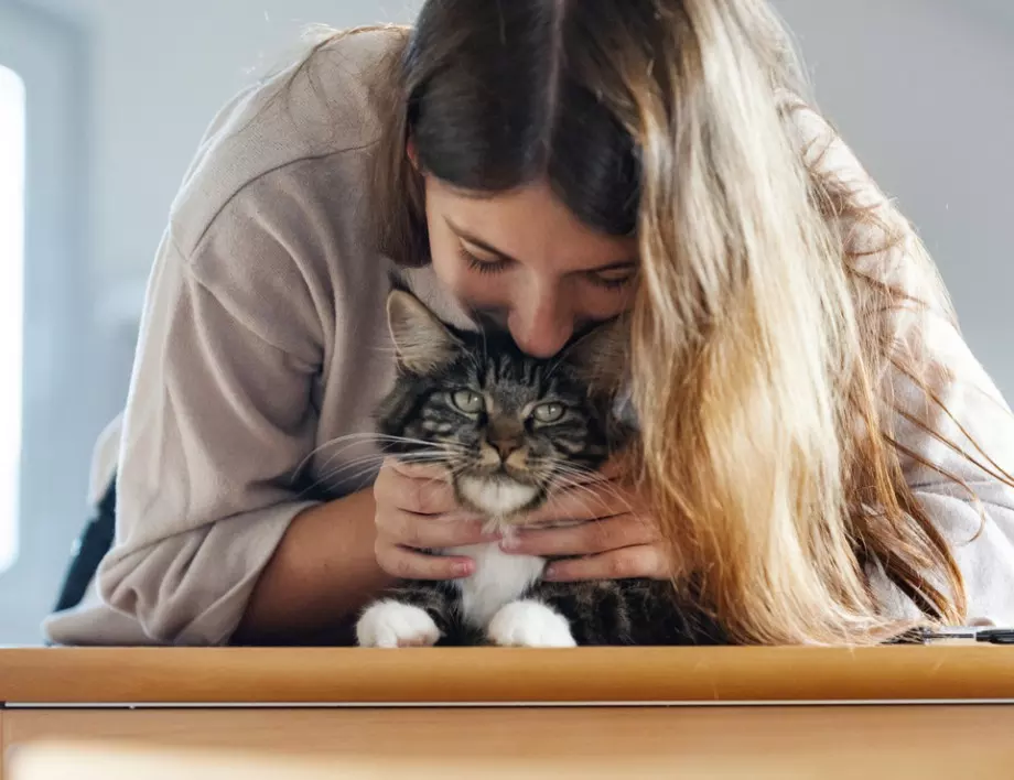 Да имате котка в дома си, е страшно полезно за вашето здраве! Вижте как.