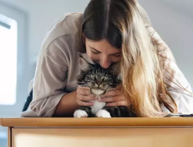 10 неща, които трябва да направите преди да си вземете котка вкъщи