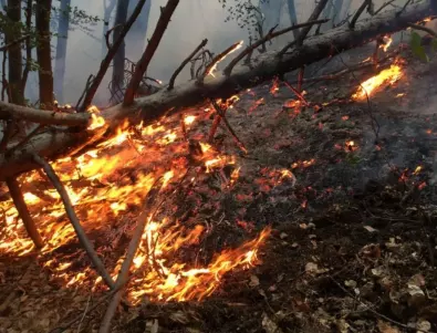 Колумбия обявява горските пожари за природно бедствие