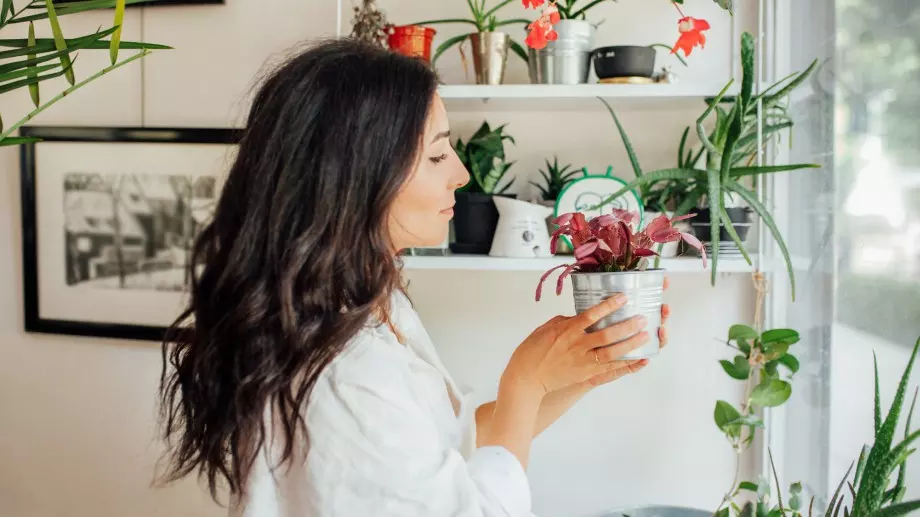 Изберете едно от тези 5 цветя, за да имате късмет в любовта