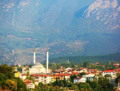 2 105 горски пожара в Турция през тази година, страната засажда 252 млн. фиданки