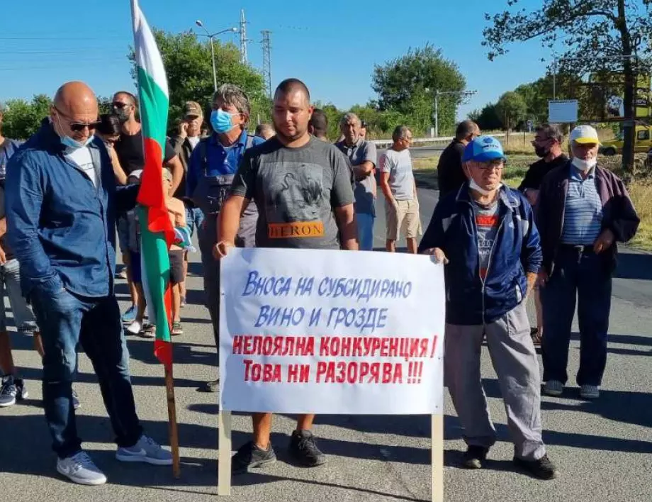 Лозарите излизат на национален протест пред Министерството на земеделието
