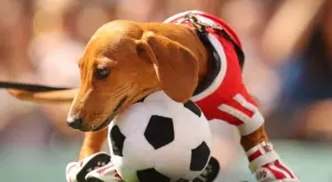 Мачовете по телевизията днес (17 март, петък)