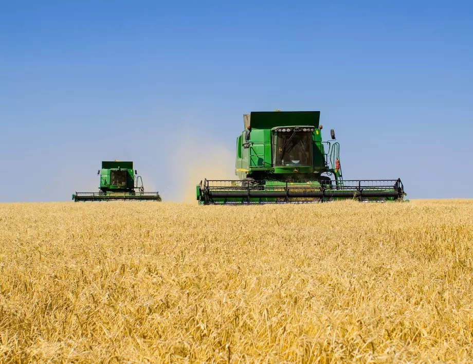 Недостиг на пшеница очаква света през следващите 3 години