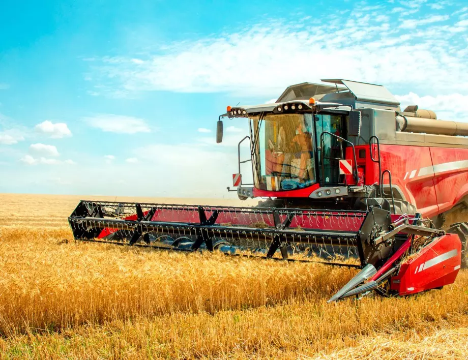 Как Русия плячкосва житото на Украйна