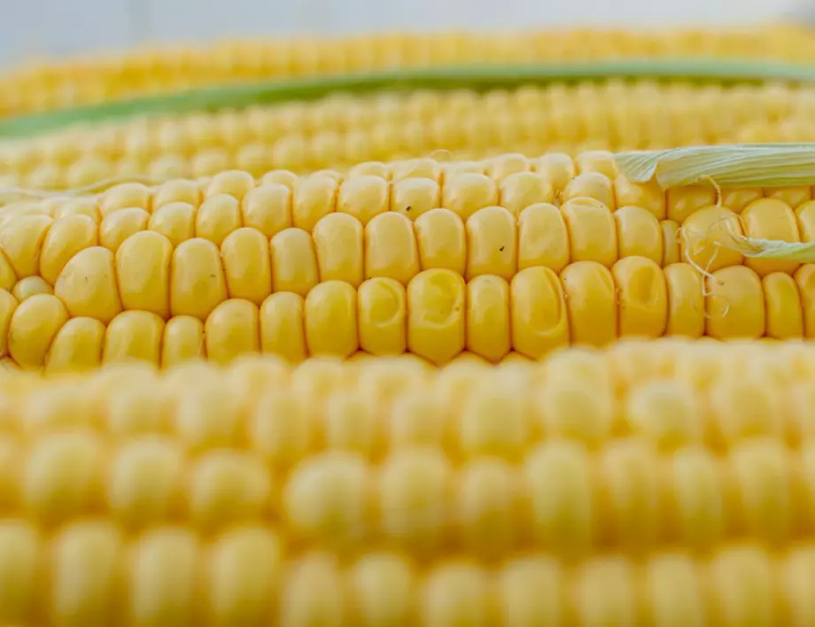 Никога не изхвърляйте течностите от тези продукти, когато ги варите 