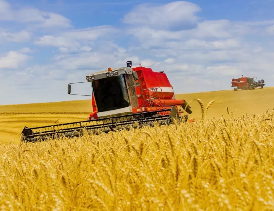 Председател на браншови съюз: Няма адекватно действие относно резерва от зърното