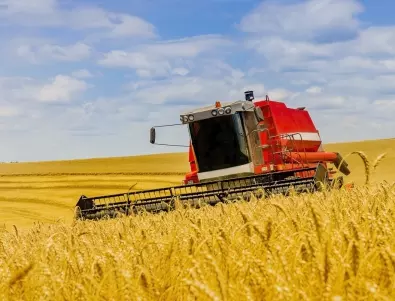 Полша временно спря вноса на зърно и някои храни от Украйна 