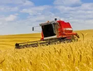 България сменя Русия при огромна доставка на пшеница за Египет