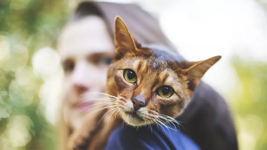 Ако домашният ви любимец прави това, значи не ви обича