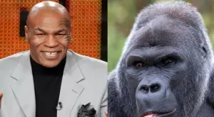 Когато Майк Тайсън предложи 10 бона, за да се боксира с горила 