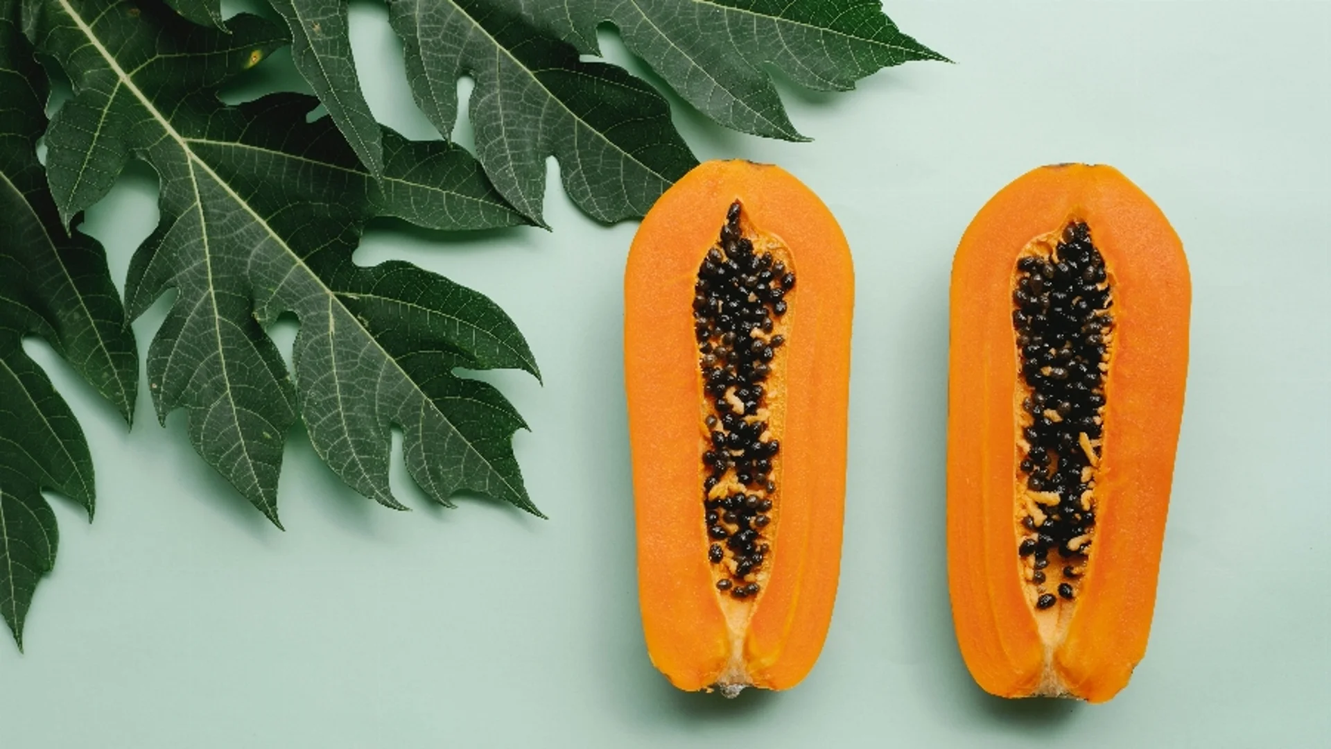 Ако засаждаме папая от семена - какво трябва да знаем