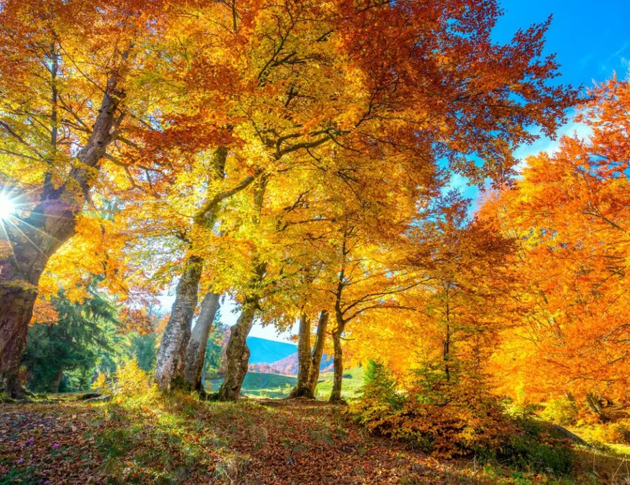 Weather Forecast December 12, 2023 (Tuesday) Rhewal