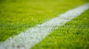 Спортът и мачовете по телевизията днес (1.12)