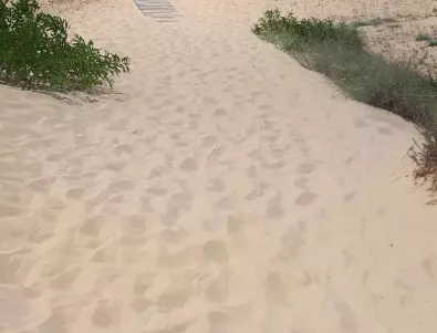 Проверяват има ли унищожени пясъчни дюни в „Албена“