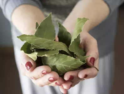 Чай от дафинов лист и още 4 лека за премахване на солите от ставите