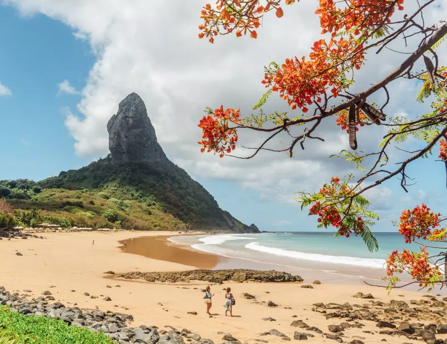 Затварят за неваксинирани "бразилския рай" 