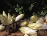 Какво ще се случи с тялото, ако пиете кафе от цикория?