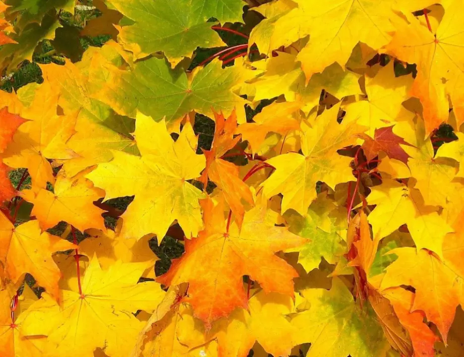 Времето утре - 3 ноември 