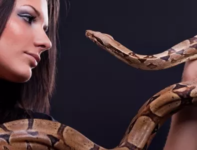 Ястреб и змия нападнаха едновременно жена от Тексас