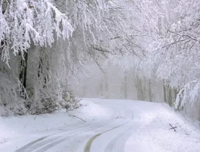 Снежни виелици в Румъния блокираха пътища и отмениха учебни часове 