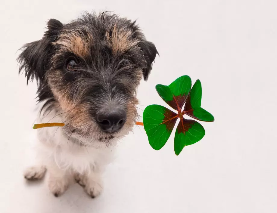 12 късметчета с кафето ти за днес, 22 НОЕМВРИ