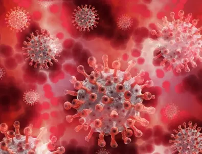 Френски учени за ваксините срещу КОВИД: Ние не сме 