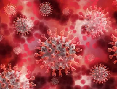 Нов коронавирус е открит в прилепи във Великобритания