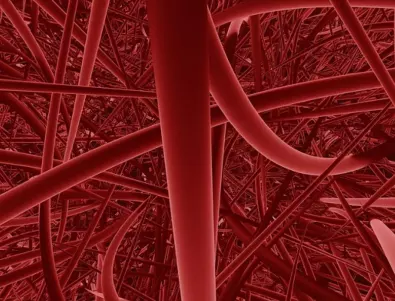 Кардиолог: Тези 3 грешки са пагубни за кръвоносните съдове на хората над 50 години