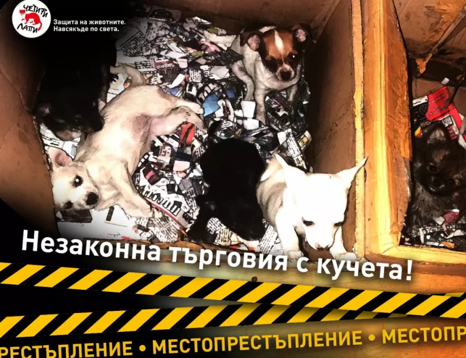 "Четири лапи": Помогнете ни да спрем незаконната търговия с кученца в България