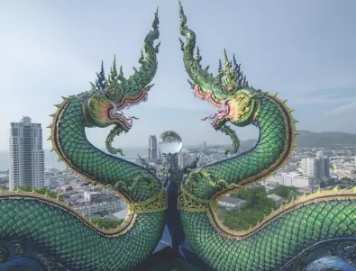 Зодиите, които НЯМА да се отърват от късмет през 2024 - годината на Дървения дракон 