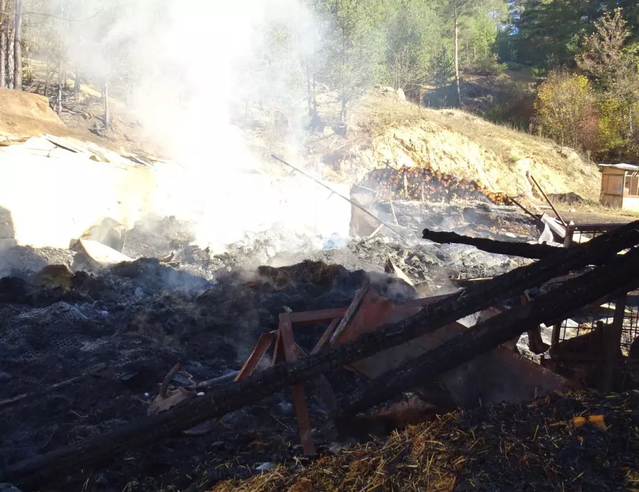 20 крави и тонове фураж изгоряха при пожар в Якоруда   
