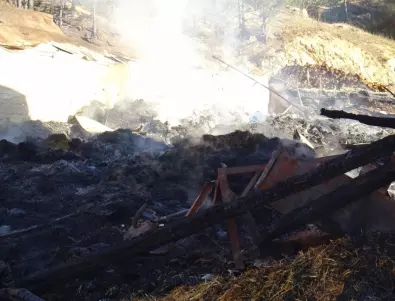 Задълбочени експертизи за пожара в Рояк, министър Донев отива на мястото на трагедията