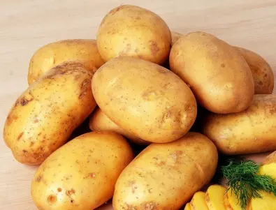 Огромна реколта от картофи - Ето тайната