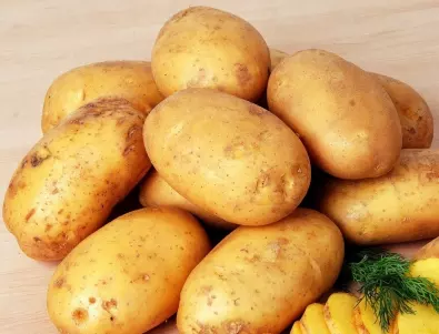 Правилно съхранение на картофите след прибиране на реколтата
