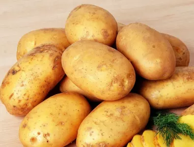 Зелените картофи опасни ли са за здравето?