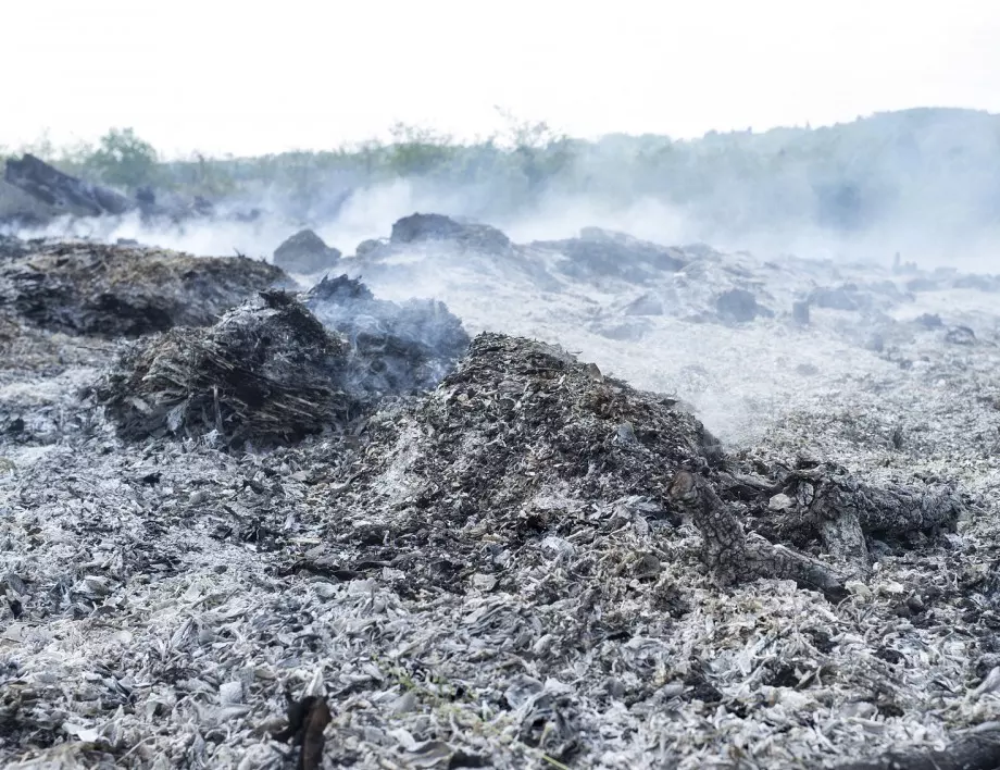СОР26: Естония с новаторски проект как щетите на околната среда се превръщат в суровини